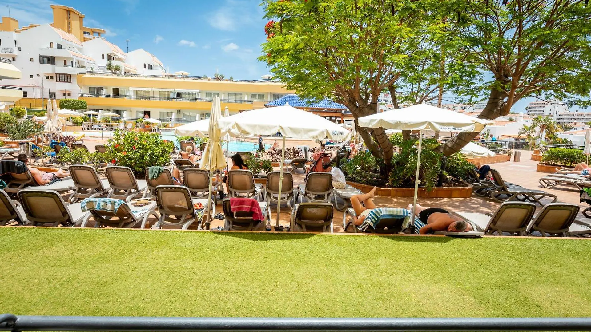 Great Location Costa Adeje Studio 30 0*, أذيخي إسبانيا